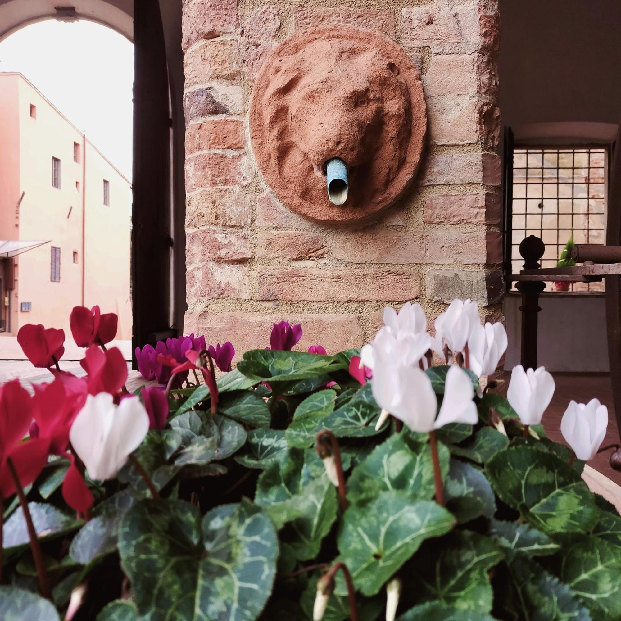 Palazzo Stiozzi Ridolfi Daire Certaldo Dış mekan fotoğraf