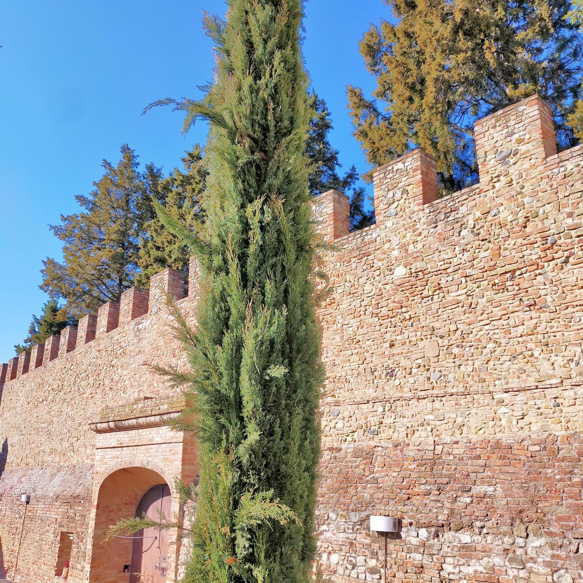 Palazzo Stiozzi Ridolfi Daire Certaldo Dış mekan fotoğraf